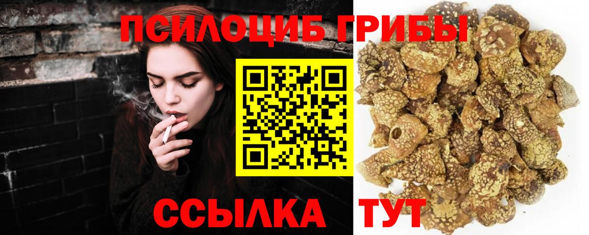 Галлюциногенные грибы мицелий Шебекино